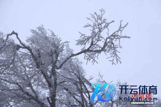豫西落雪：白云山间银装素裹