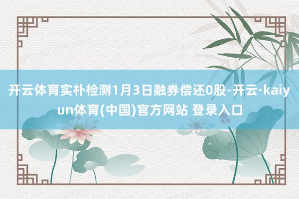 开云体育实朴检测1月3日融券偿还0股-开云·kaiyun体育(中国)官方网站 登录入口