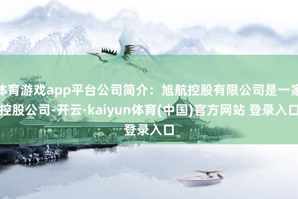 体育游戏app平台公司简介：旭航控股有限公司是一家控股公司-开云·kaiyun体育(中国)官方网站 登录入口