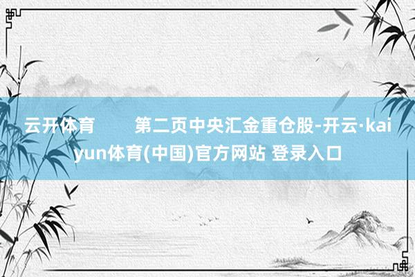 云开体育        第二页中央汇金重仓股-开云·kaiyun体育(中国)官方网站 登录入口
